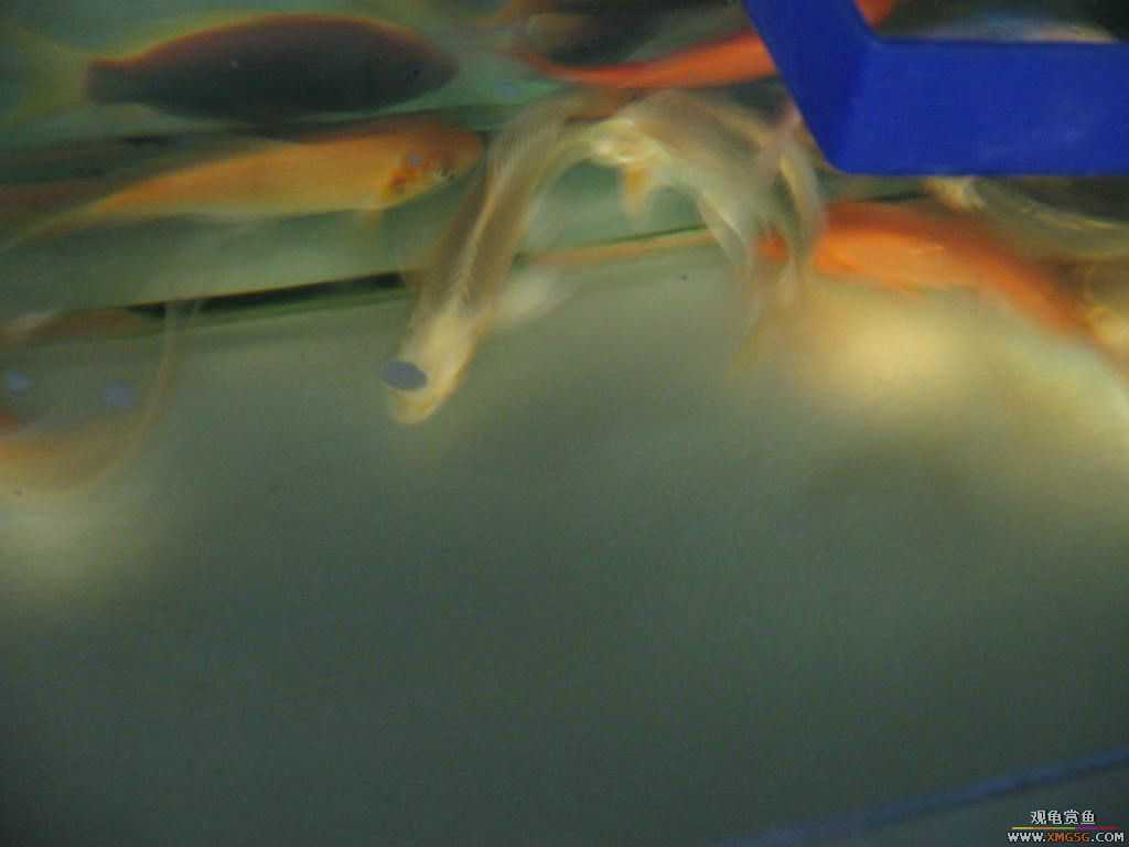 [�̼�]������֮�� ����·