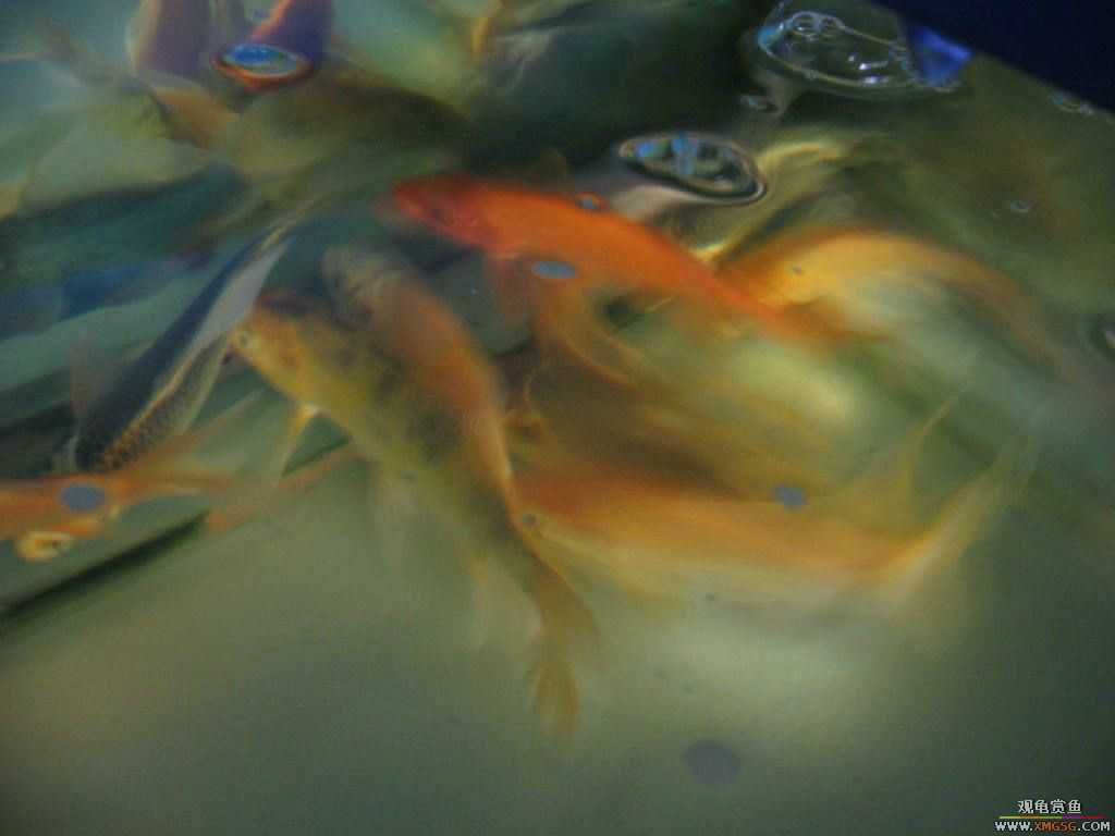 [�̼�]������֮�� ����·