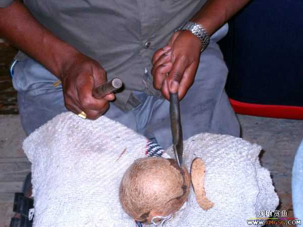 [ԭ��]ԭ��Ҭ�ӿ���������