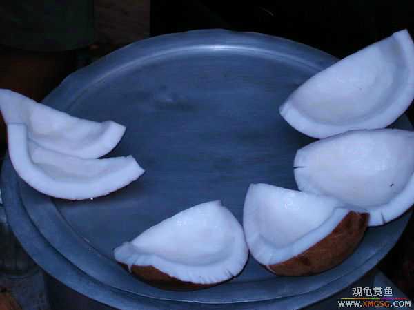 [ԭ��]ԭ��Ҭ�ӿ���������