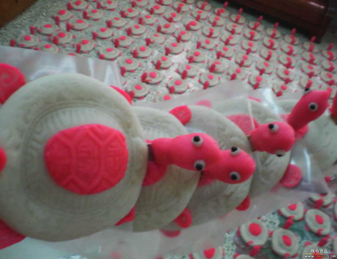 ζ���ɿڵĹ꣡����