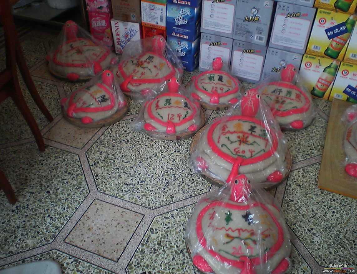 ζ���ɿڵĹ꣡����