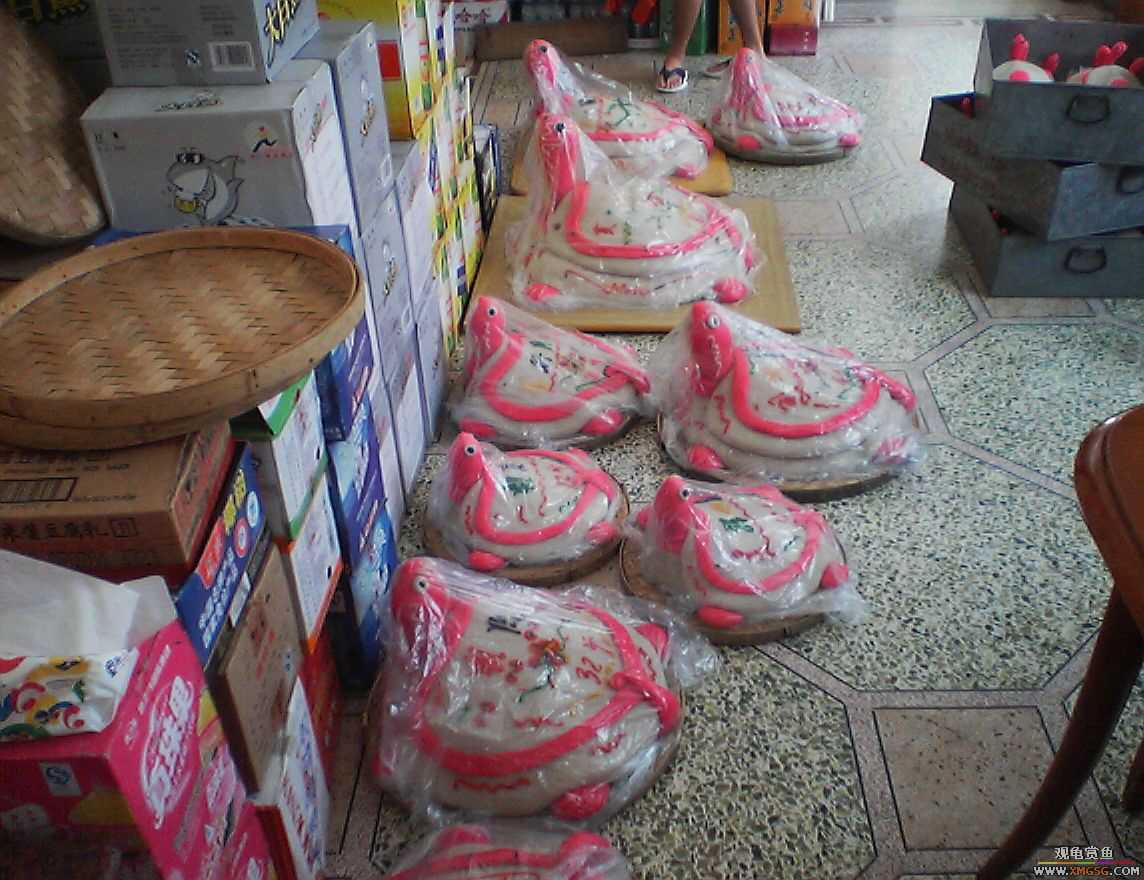 ζ���ɿڵĹ꣡����