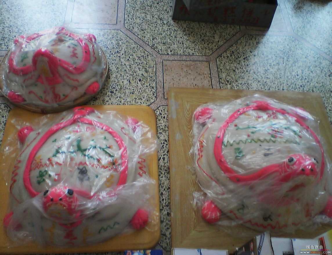 ζ���ɿڵĹ꣡����