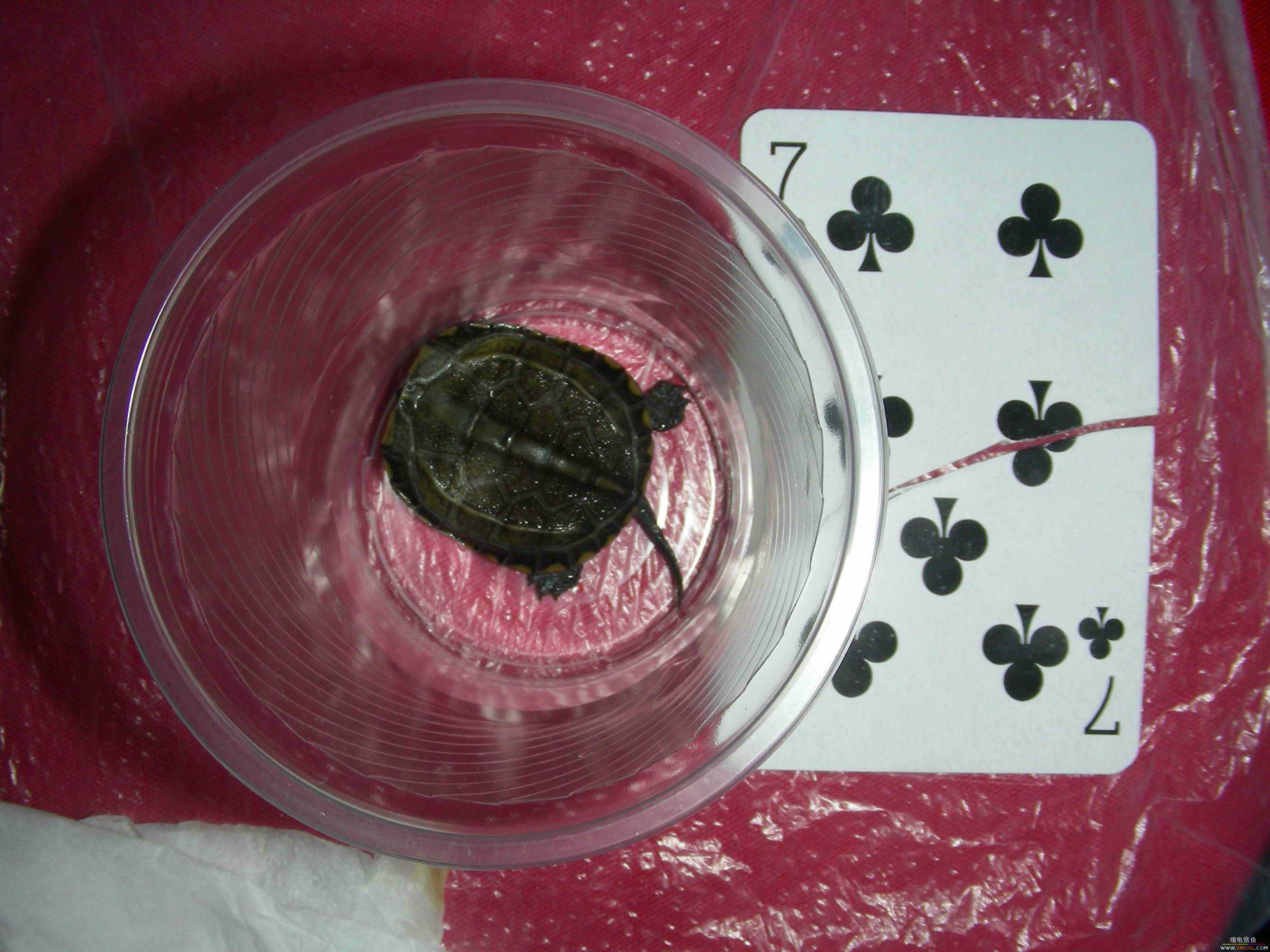 ���ڸ��ݹ��Ѿۻ����Ҫ֪ͨ