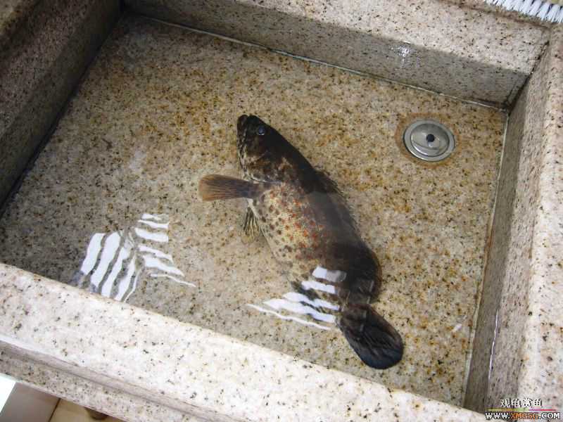 Ϊ�����ź���,�ڳ���Ѫ!