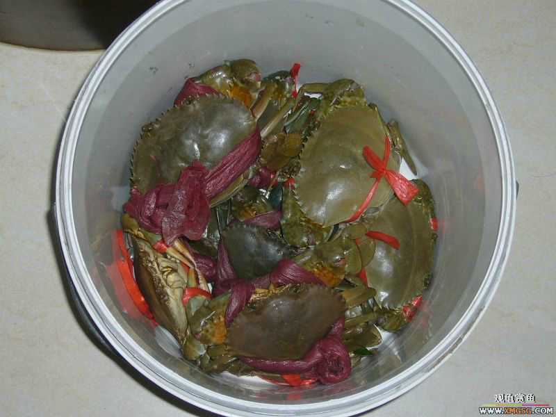 Ϊ�����ź���,�ڳ���Ѫ!