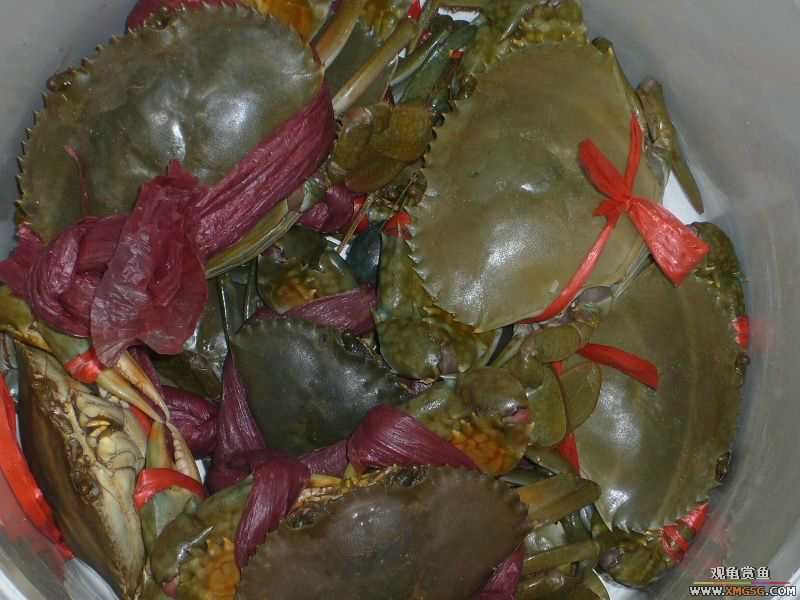 Ϊ�����ź���,�ڳ���Ѫ!