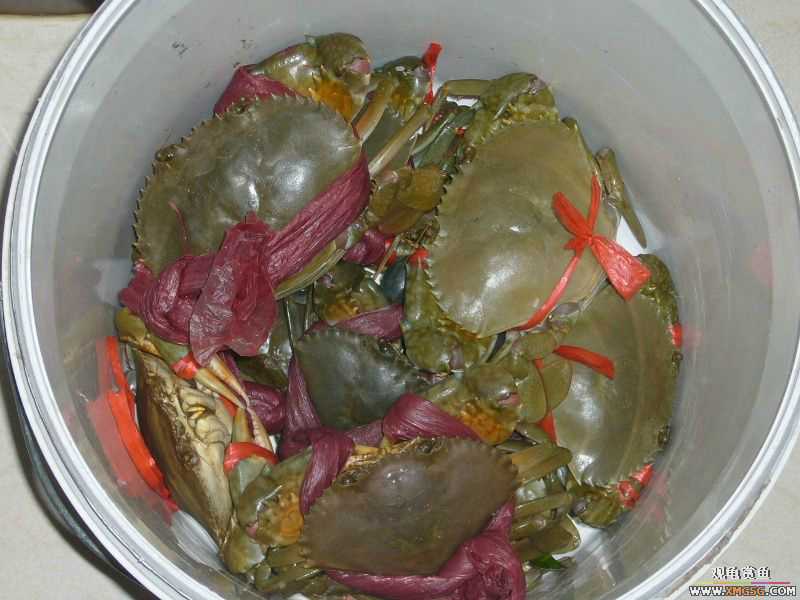 Ϊ�����ź���,�ڳ���Ѫ!