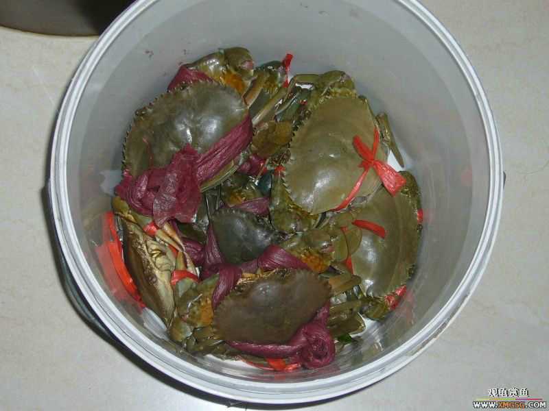 Ϊ�����ź���,�ڳ���Ѫ!