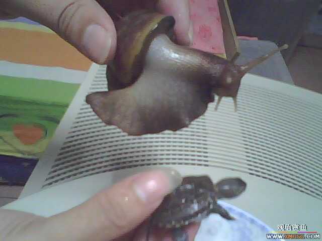 ��Ϧ���ջ񡣹�����