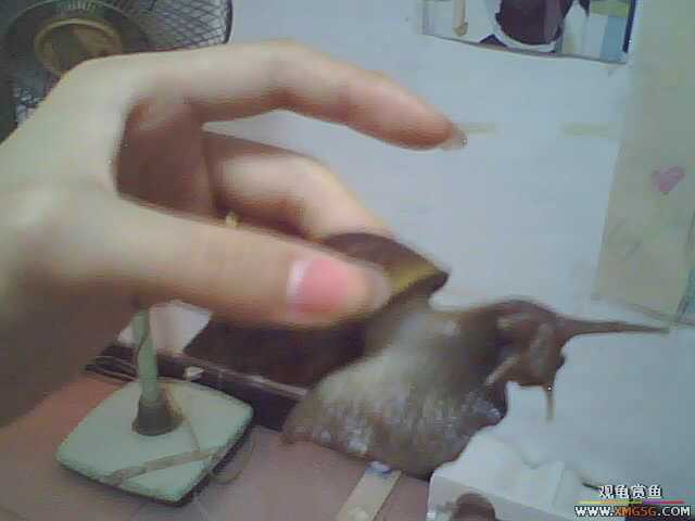 ��Ϧ���ջ񡣹�����