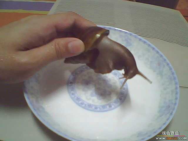 ��Ϧ���ջ񡣹�����