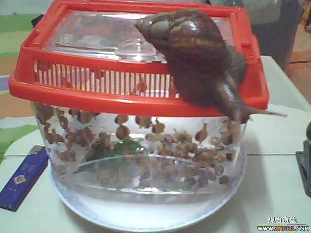 ��Ϧ���ջ񡣹�����