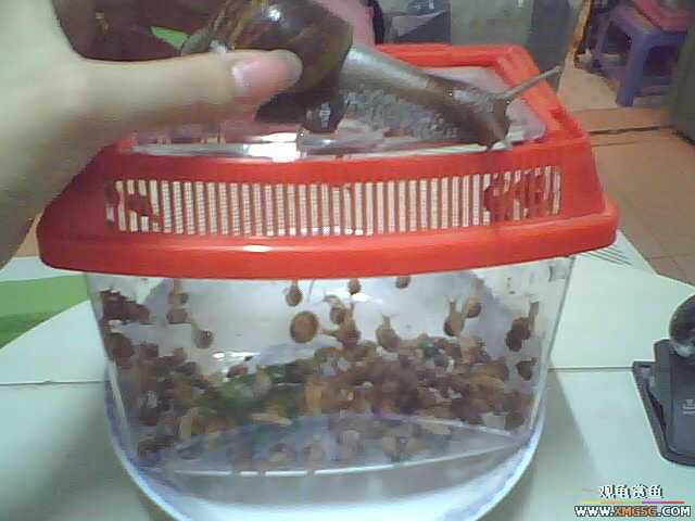 ��Ϧ���ջ񡣹�����