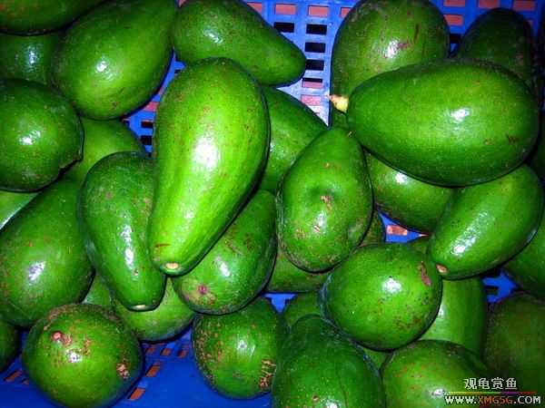 [ԭ��]��˭�ϵ���������