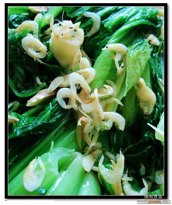 [ԭ��]һ�����