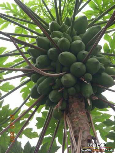 [ԭ��]��˭�ϵ���������