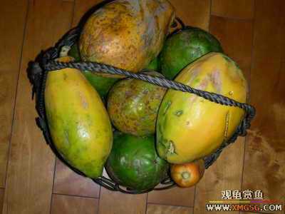 [ԭ��]��˭�ϵ���������