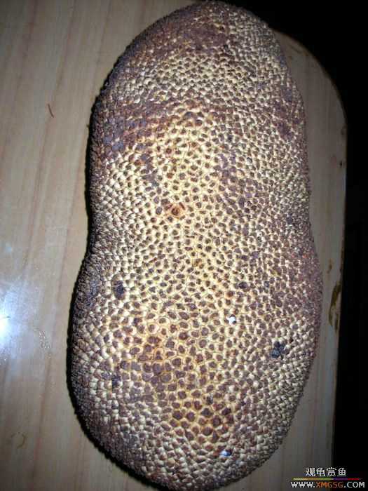 [ԭ��]����,������������