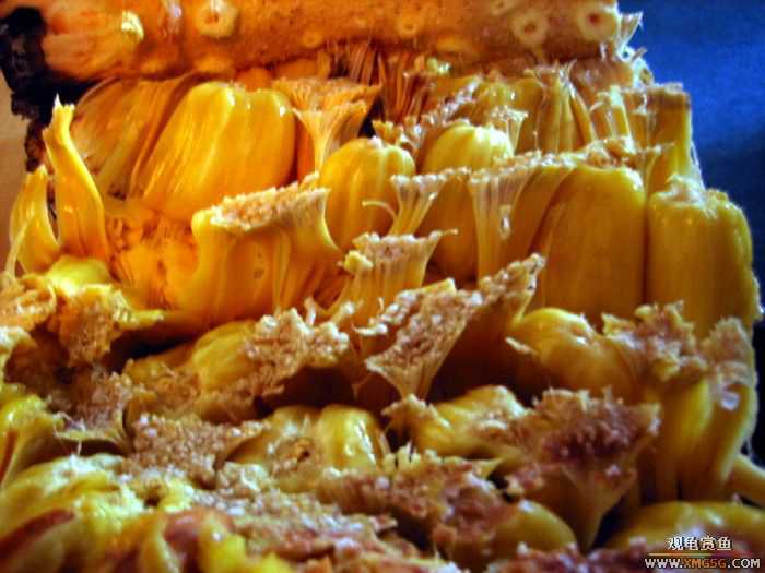 [ԭ��]����,������������