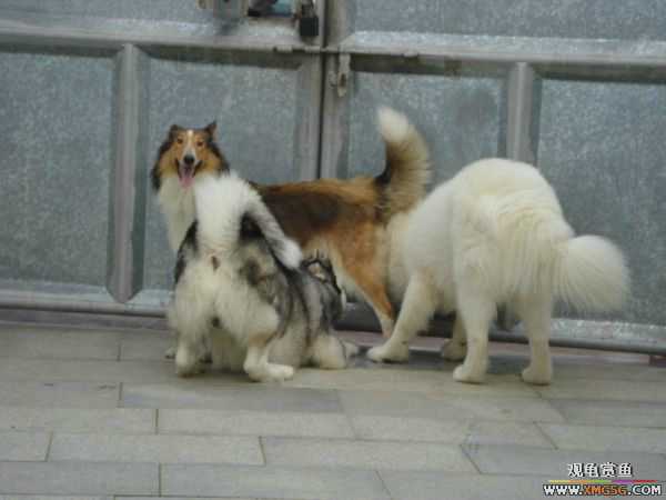 [ԭ��]�����������~~~~---�����������һ����