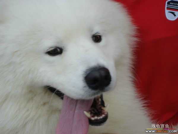 [ԭ��]�����������~~~~---�����������һ����