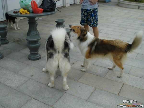 [ԭ��]�����������~~~~---�����������һ����