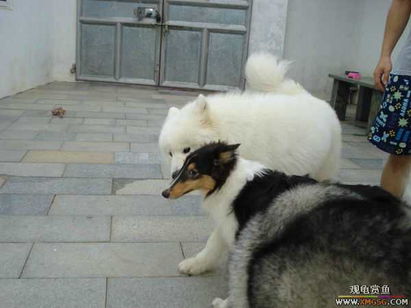 [ԭ��]�����������~~~~---�����������һ����