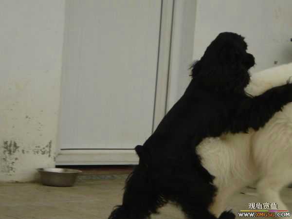 [ԭ��]�����������~~~~---�����������һ����