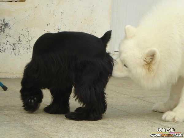 [ԭ��]�����������~~~~---�����������һ����