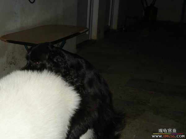 [ԭ��]�����������~~~~---�����������һ����