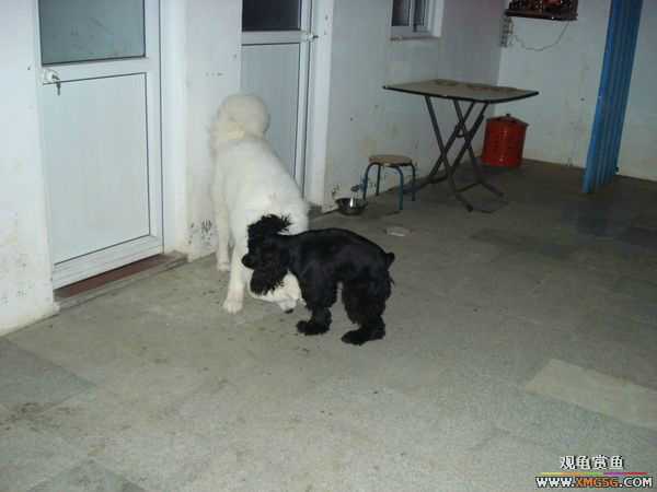 [ԭ��]�����������~~~~---�����������һ����