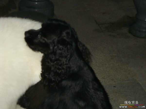 [ԭ��]�����������~~~~---�����������һ����