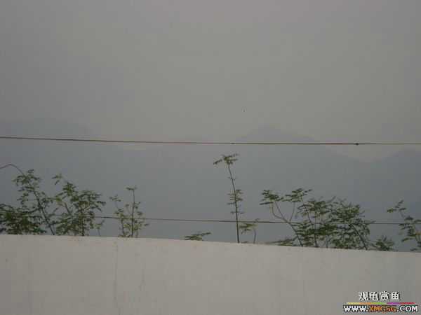 [ԭ��]�����������~~~~---�����������һ����