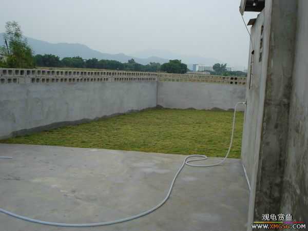 [ԭ��]�����������~~~~---�����������һ����