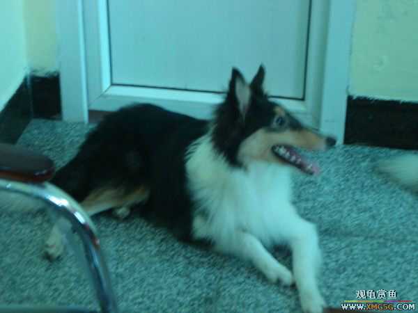 [ԭ��]�����������~~~~---�����������һ����