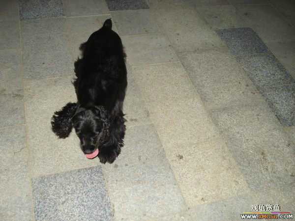 [ԭ��]�����������~~~~---�����������һ����