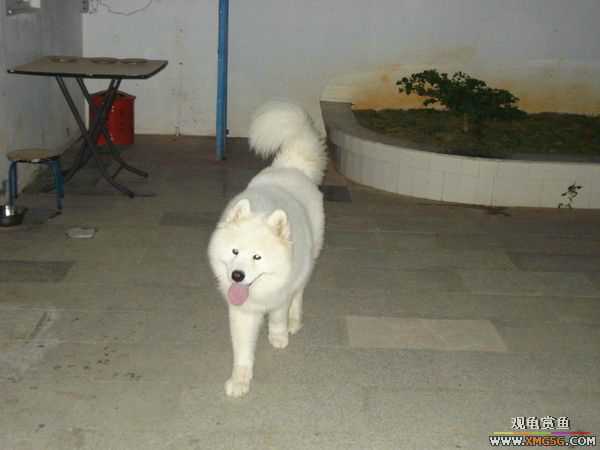 [ԭ��]�����������~~~~---�����������һ����