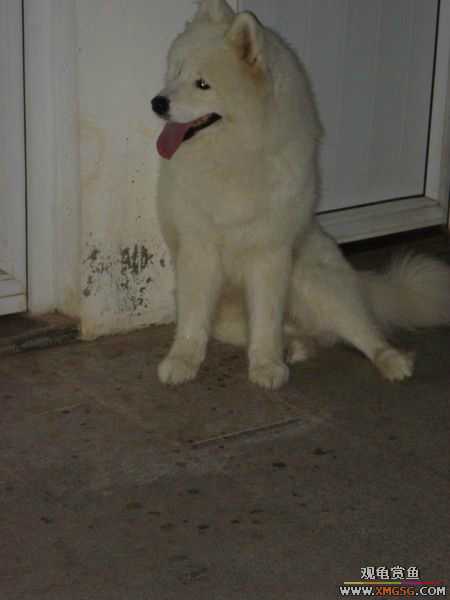 [ԭ��]�����������~~~~---�����������һ����