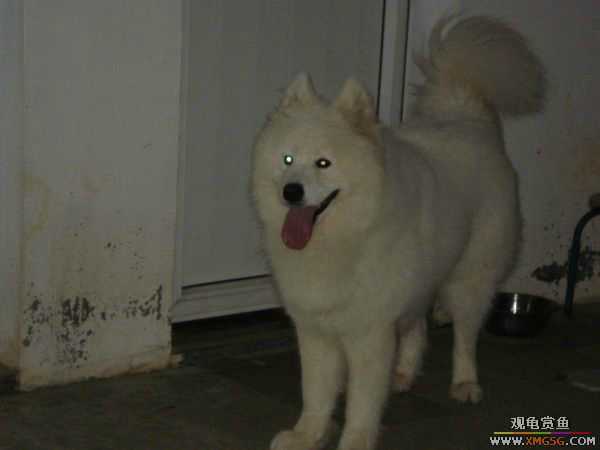 [ԭ��]�����������~~~~---�����������һ����