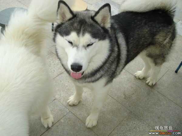 [ԭ��]�����������~~~~---�����������һ����