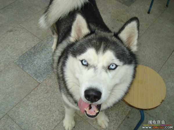 [ԭ��]�����������~~~~---�����������һ����