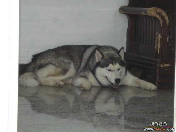 [ԭ��]�����������~~~~---�����������һ����