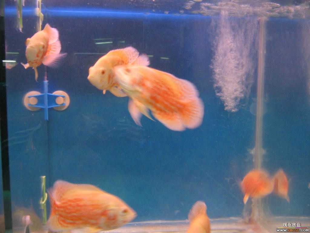 [�̼�]������֮�� ����·