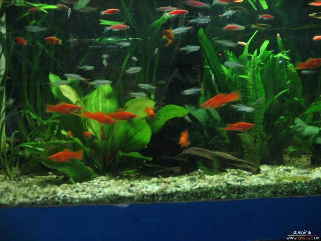 [�̼�]������֮�� ����·