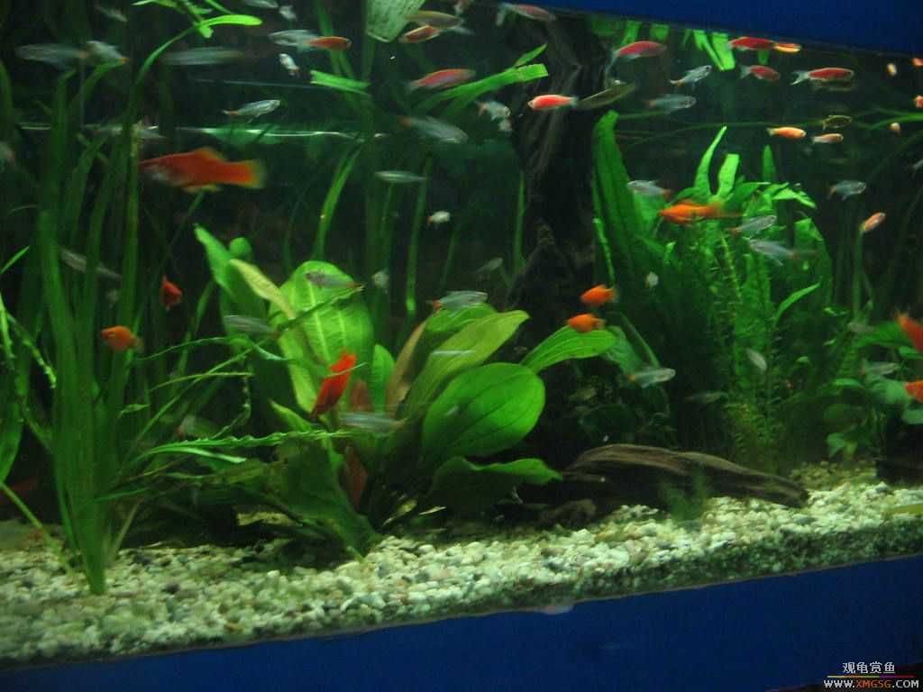 [�̼�]������֮�� ����·