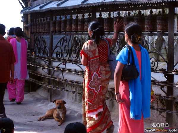 [ԭ��]�𷨻�