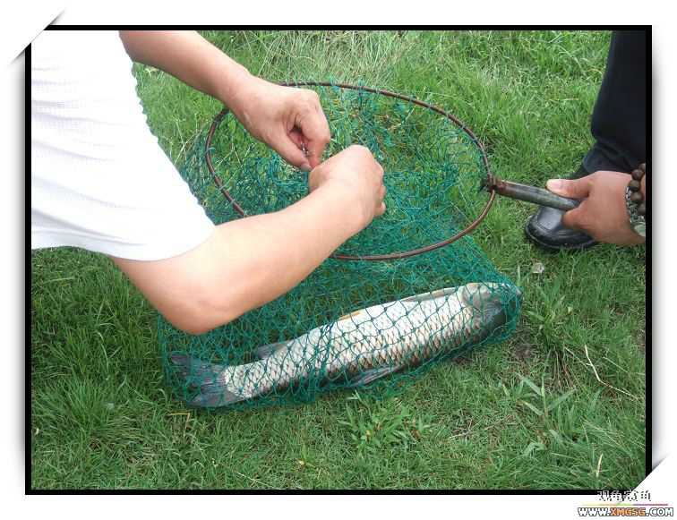 [ԭ��]�����������