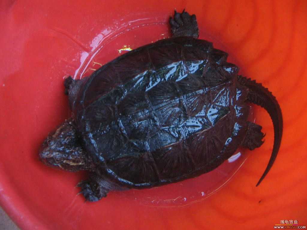 [�̼�]������֮�� ����·